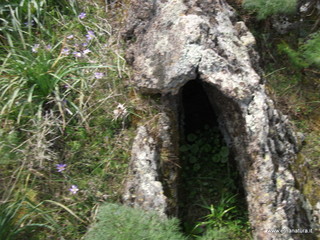 conco di Liricio-24-03-2013 12-09-11